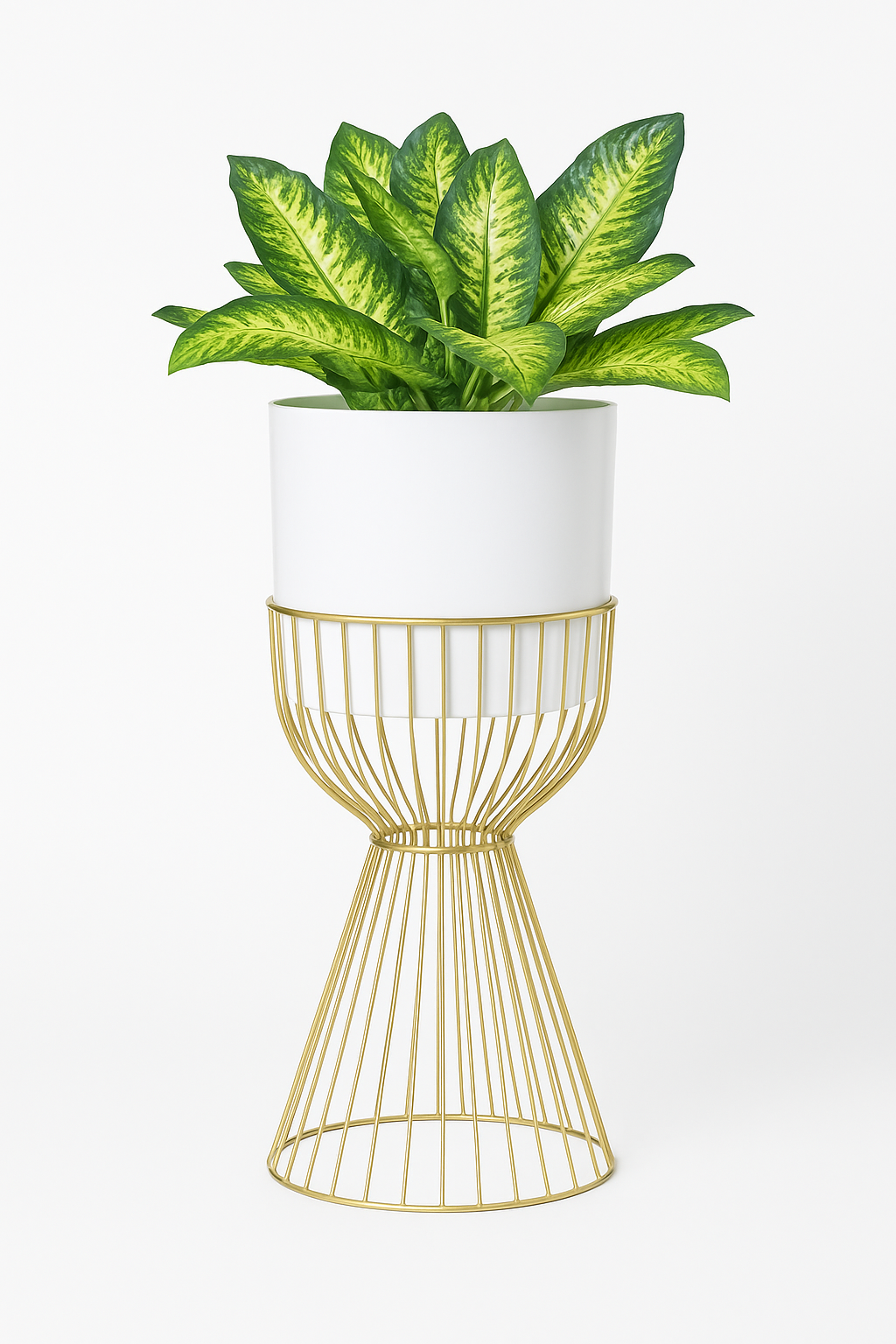 Premium Indoor Dieffenbachia Plant with White Pot & Golden Stand
